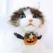 Vnanda Halloween Dog Collar with Bowtie Holiday Jack-O-Lantern and Pumpkin Collar for Small Medium Large Dogs Pets Puppies