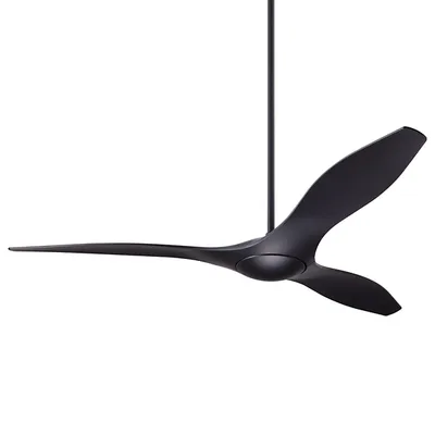 Modern Fan Company IC/Brisa DC Ceiling Fan