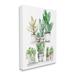 Stupell Industries Au-778-Canvas Mixed Greenery Potted Ivy Plants On Canvas by Ziwei Li Graphic Art Canvas in Brown/Green/White | Wayfair