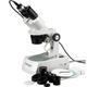 AmScope 20X-40X-80X Stereo Microscope with USB Camera New