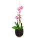 Orchid Hanging Basket with Metal Hook 4 Inch Bamboo Orchid Hanging Pot Planter Decorative Hanging Orchid Planters for Indoor Outdoor Patio Garden Decoration 1 Pack