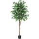 Kazeila Large Artificial Ficus Tree 210cm Tall Artificial Plants Indoor Fake Tree Fake Potted Tree with Natural Wood Trunk and Silk Leaves for Home Office Decor Indoor