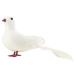 Farfi Pigeon Ornament Realistic Looking Vivid 3D Eyes Fluffy Feather Adorable Appearance Wide Application Decorative Foam Handmade Artificial Pigeon Bird Figurine Decoration for Home (White)