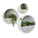 Modern Home Round Living Wall Mounted Galvanized Steel/Zinc Succulent/Herb Planter (Aged Zinc Set of 3)