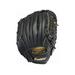 Franklin Fieldmaster Baseball Glove