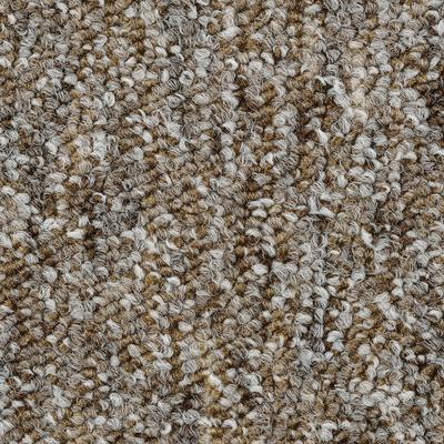 Teppichboden BODENMEISTER "Heilbronn, Schlinge - meliert, Made in Belgium", beige (beige braun), B:200cm H:7,2mm L:700cm, Polyamid, Teppiche, Wohnzimmer, Kinderzimmer, Schlafzimmer, Breite 200/300/400/500 cm Image