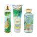 Bath and Body Works Emerald Mist 3 Piece Gift Bundle - Fragrance Mist - Body Cream - Shower Gel - Full Size