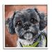 Stupell Industries Black Shih Tzu Dog Portrait Framed On Wood by Lindsay Kivi Fine Art Painting Wood in Brown/Gray | 12 H x 12 W x 1.5 D in | Wayfair