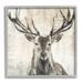 Stupell Industries Rustic Deer Elk Wildlife Portrait Framed On Wood by Liz Jardine Graphic Art Wood in Brown/Gray | 17 H x 17 W x 1.5 D in | Wayfair