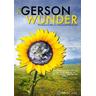 Das Gerson-Wunder, 1 DVD (DVD) - Mobiwell