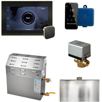 Mr Steam 12C1AN000 xButler Steam Shower 12kW Generator Package with