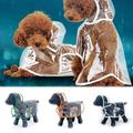 SPRING PARK Pet Dog Puppy Rain Coat Clothes Waterproof Jacket Rainwear Clear Buttons Hood Coat