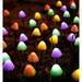 Solar String Lights Outdoor Decor -IP44 Waterproof 24 FT Solar Powered Fairy Mushroom Lights - Solar Path Lights for Patio Garden Lawn Patio