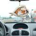Fashion Gift! Home Car Rearview Mirror Double-sided Bird Backpack Decoration Charm One Size