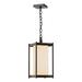 Hubbardton Forge Cela Outdoor Pendant Glass/Aluminium/Metal in Brown | 17.4 H x 8 W x 8 D in | Wayfair 362023-1004