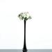 Craft And Party Pack of 12 Eiffel Tower Vases Centerpiece for Flower Wedding Decoration. (24 Black)