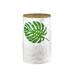 Godinger Silver Art Co Monstera Leaf Large Storage Jar Porcelain/China, Ceramic in Green/White | 9.75 H x 5.9 W x 5.9 D in | Wayfair 13926