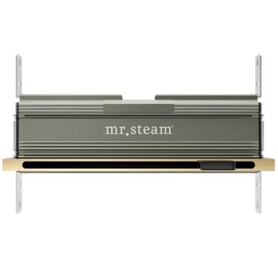 Mr Steam Linear Steam Head
