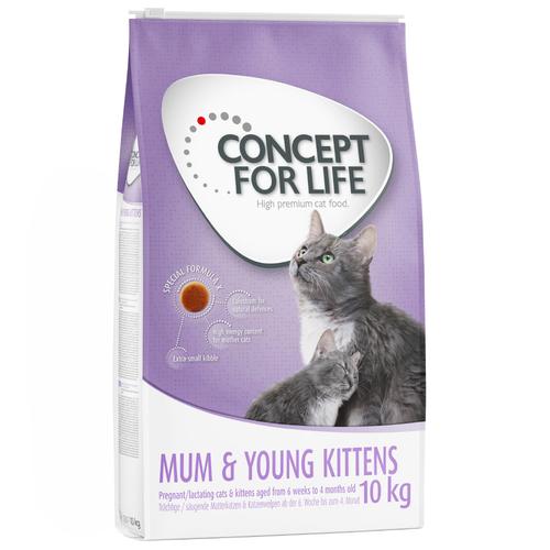 10 kg Mum & Young Kittens Concept for Life Katzenfutter trocken