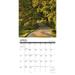 2024 Willow Creek Press Scenic Monthly Wall Calendar 12 x 12 America s Backroads January to December