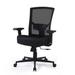 Ivy Bronx Detrina 450LBS Big & Tall Ergonomic Office Mesh Chair Upholstered in Black | 42.12 H x 28.74 W x 26.37 D in | Wayfair