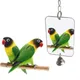 Miroir décoratif Portable pour animaux de compagnie jouet en acrylique cloche Cage de jeu pour