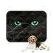 ABPHQTO Cute Muzzle Of A Black Cat Closeup Pet Dog Cat Bed Pee Pads Mat Cushion Potty Dogs Blankets Crate Bed Kennel 20x24 inch