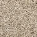 BODENMEISTER Teppichboden "Veloursteppich Pegasus" Teppiche Gr. B/L: 500 cm x 500 cm, 10 mm, 1 St., beige (beige grau) Teppichboden