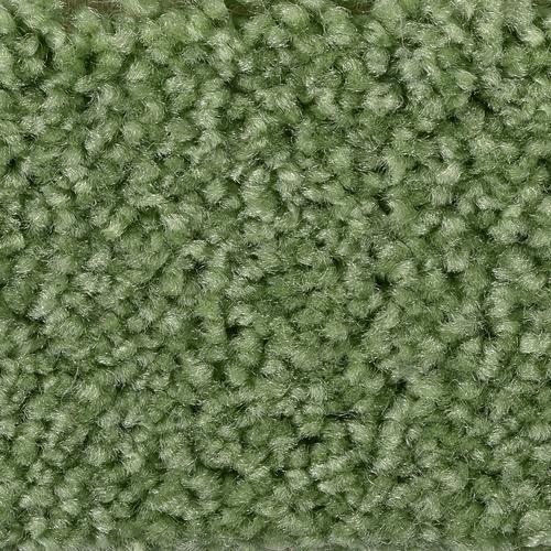 „BODENMEISTER Teppichboden „“Veloursteppich Pegasus““ Teppiche fußbodenheizungsgeeignet, Hochflor Gr. B/L: 600 cm x 400 cm, 10 mm, 1 St., grün (dunkel grün) Teppichboden“