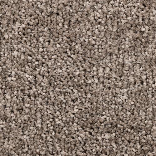„BODENMEISTER Teppichboden „“Veloursteppich Pegasus““ Teppiche fußbodenheizungsgeeignet, Hochflor Gr. B/L: 700 cm x 500 cm, 10 mm, 1 St., grau (grau beige) Teppichboden“