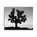 Stupell Industries Monochrome Moonlit Desert Tree Landscape Photography Gallery Wrapped Canvas Print Wall Art