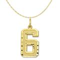 Carat in Karats 10K Yellow Gold Casted Large Diamond-Cut Number 6 Pendant Charm (25mm x 10mm) With 14K Yellow Gold Lightweight Rope Chain Necklace 18