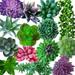 14 Pcs Artificial Succulents Plants Unpotted Small Green Plant Picks Fake Succulents Bulk Assorted Mini Faux Succulents for Succulent Garden Wreath Floral Arrangement Indoor Outdoor Home Decor