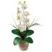 Primrue Phalaenopsis Orchid Floral Arrangement in Pot Polyester/Faux Silk/Plastic/Fabric in Red/Pink/White | 21 H x 9 W x 6 D in | Wayfair
