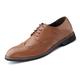 Mens Brogues Dress Shoes Classic Formal Oxfords Shoes Lace-Ups Party Monk Derbys Shoes for Men CarvedBrown UK 9.5