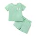 3T Toddler Baby Boys Clothes Baby Boys Outfits 3-4T Boys Short Sleeve Round Neckline Top Shorts 2PCS Set Green