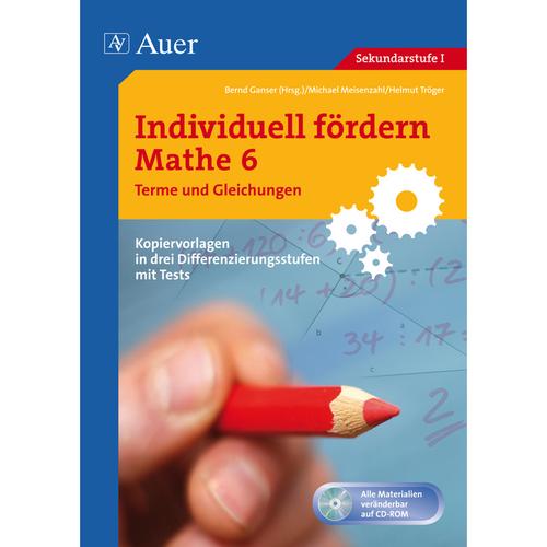 Individuell Fördern Mathe: Individuell Fördern Mathe 6 Terme Und Gleichungen, M. 1 Cd-Rom, Kartoniert (TB)