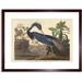 Painting Bird Audubon Louisiana Heron Artwork Framed Wall Art Print 9X7 Inch