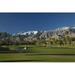 Panoramic Images Palm trees in a golf course Desert Princess Country Club Palm Springs Riverside County California USA Poster Print by Panoramic Images - 24 x 16