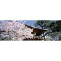 Panoramic Images USA California San Francisco Golden Gate Park Japanese Tea Garden front gate Poster Print by Panoramic Images - 36 x 12