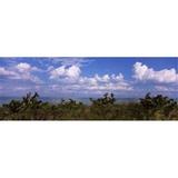 Panoramic Images Clouds over the sea Tampa Bay Gulf Of Mexico Anna Maria Island Manatee County Florida USA Poster Print by Panoramic Images - 36 x 12