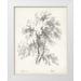 Unknown 20x24 White Modern Wood Framed Museum Art Print Titled - Birch Tree Study