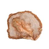 Fortessa Petrified Wood Boards - 12" - Frontgate