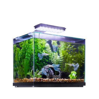 Imagitarium Glass Versa Aquarium, 6.6 Gallons