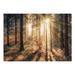 Loon Peak® Faiyaaz Trees in Morning Sun Wall Mural Vinyl | 82" L x 115" W | Wayfair 4A4D0D0719564DC59C28373A68DF2FA4