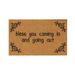 Halloween Decorations Best Wishes to The Family And All Who Come Funny Cute Doormat Door Mat Welcome Friends Doormat Funny Doormat New Home Door Mat Halloween Decor