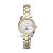 Women's Fossil Silver/Gold Pace University Setters Scarlette Mini Two-Tone Stainless Steel Watch