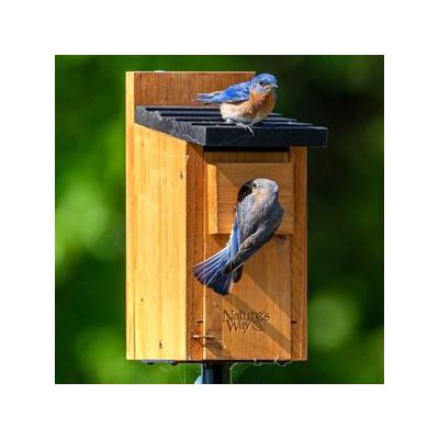 Natures Way Bird Products Bluebird Box House, Cedar