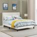 Velvet Upholstered Bed Frame with Vertical Channel Tufted Headboard, Modern Decorative Nailheads