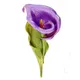 CINDY XIANG Enamel Calla Lily Flower Brooches For Women Summer Fashion Beautiful Pin